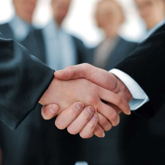 Sapid Consulting