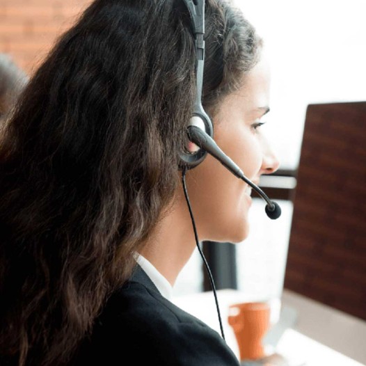 Sapid Consulting