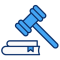 Sapid Consulting Logo Big